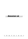 Momentum Lab